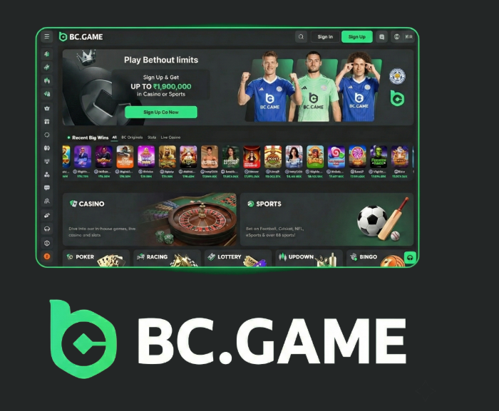 Step-by-Step Guide to the BC.Game Login Process